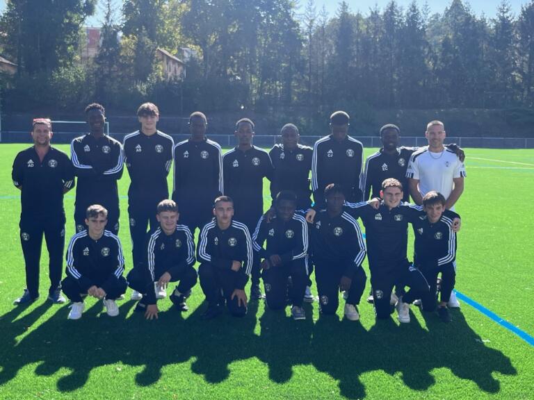 -3396427949859315392