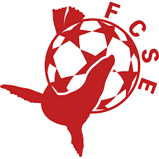 FC ST ETIENNE